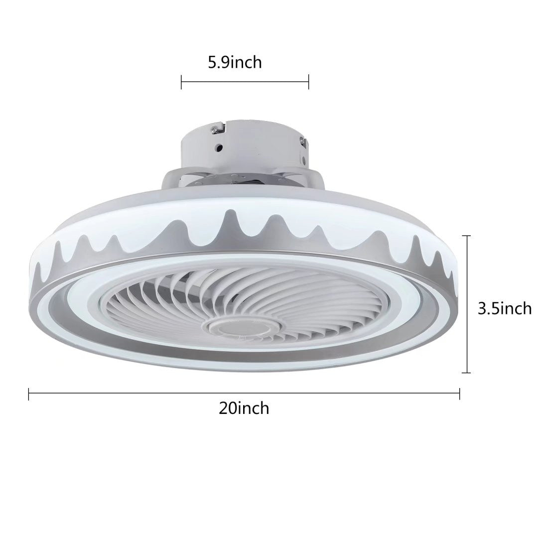 Contemporary Ceiling Fan and Light